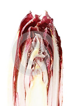 Chicory radicchio.