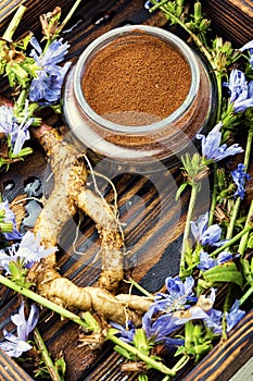 Chicory root,coffee substitute