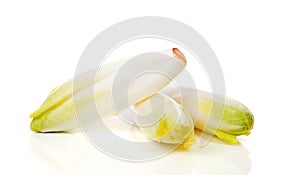 Chicory vegetable