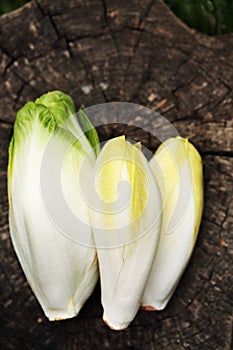 Chicory vegetable, Top view