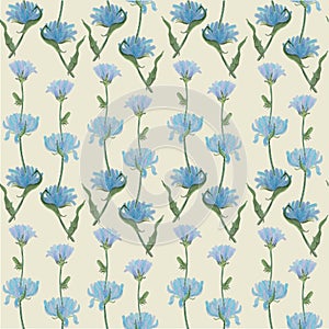 Chicory watercolor plant blue flowers seamless pattern nature botanical illustration