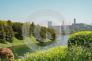 Chidoriga-fuchi Park and city view at spring in Tokyo, Japan