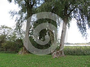 Chiemsee in Bavria near Rimsting on an autumn day