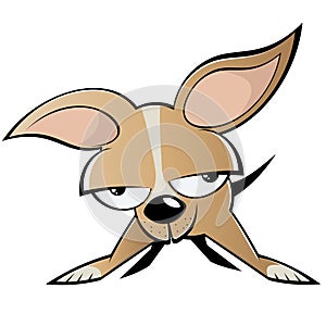 Chihuahua dog cartoon