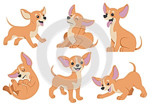 Chihuahua dog cartoon set photo