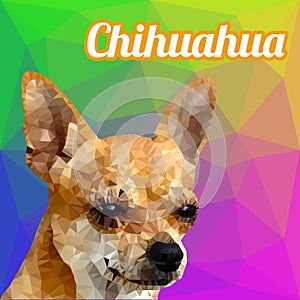 Chihuahua Dog Head Polygon Vector
