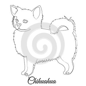 Chihuahua dog outline. Vector coloring