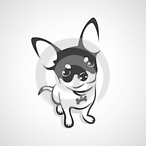 Chihuahua dog - vector illustration