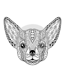 Chihuahua dog zentangle stylized. Freehand vector illustration