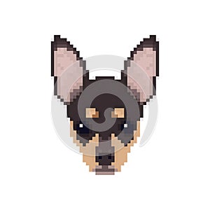 Chihuahua head in pixel art style.