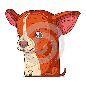 A Chihuahua, isolated vector illustration. Cute cartoon picture for children. A small amiable dog. Drawn animal sticker