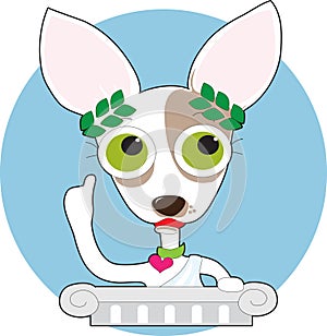 Chihuahua Philosopher