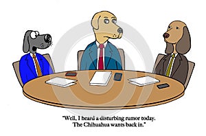 Chihuahua rumor reaches the board