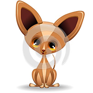 Chihuahua Tiny Puppy Dog Cartoon