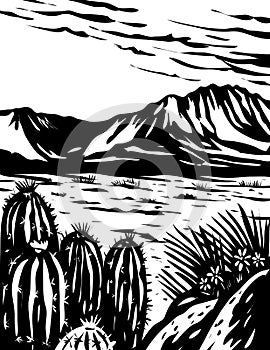 Chihuahuan Desert in Big Bend National Park West Texas USA Mexico Border WPA Woodcut Black and White Art