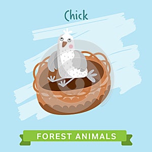 Chik Vector, forest animals.