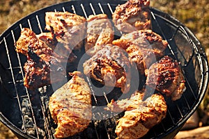 Chiken barbeque on a grill roasting open fire