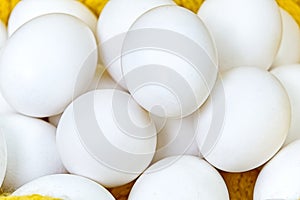 Chiken white eggs close up. farm chicken ecologic eggs