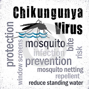 Chikungunya Virus, Mosquito, Word Cloud