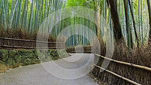 Chikurin-no-Michi at Arashiyama in Kyoto