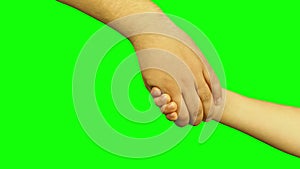 Child and adult hands joining isolated