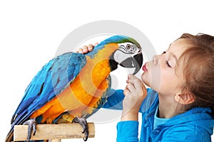 Child with ara parrot photo