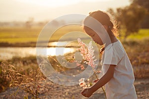 Child asian little girl collect grass flower in the meadow