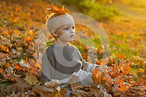 Child autumn leaves background. Warm moments of autumn. Toddler boy blue eyes enjoy autumn. Small baby toddler on sunny