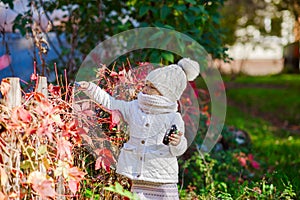 Child in autumn orange leaves. photo