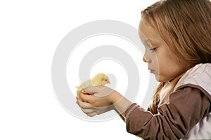 Child and baby chicken