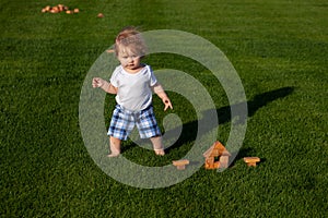 Child baby playing on sunny field, summer outdoor kids lifestyle. Happy baby boy learning to walk on grass outdoors.