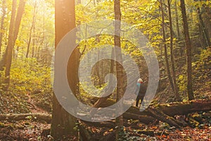 A child with a backpack stands with his back on a log in the autumn forest with trees and golden foliage in the riverbed, with