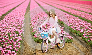 Child on bike in tulip field. Bicycle in Holland