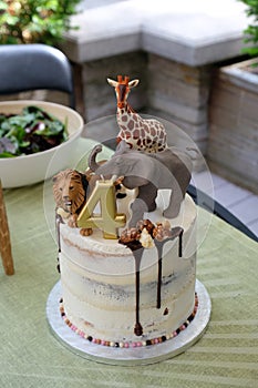 Child birthday cake with toy african animals topping with drizzled chocolate sauce on white icingwit