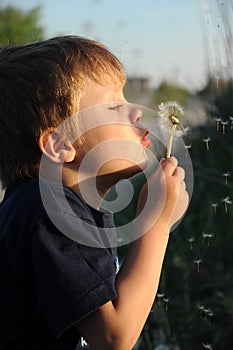 Child blowing on blowball