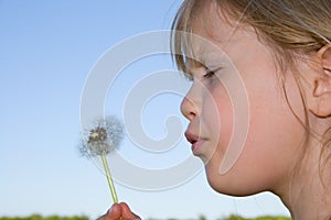 Child blowing dandelion.