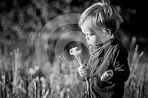 Child blowing dandelion seeds in park