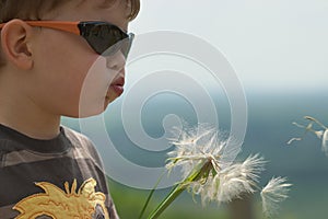 Child blowing Dandellion seed