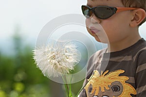 Child blowing Dandellion in spring