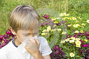 Child is blowing his nose. Flowers and green meadow behind him. Healthcare, medicine, allergy concept.