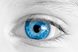 Child blue eye