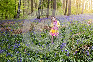 Child with bluebell flowers in spring forest