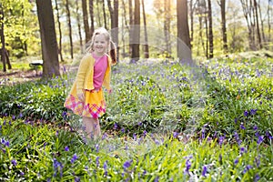 Child with bluebell flowers in spring forest