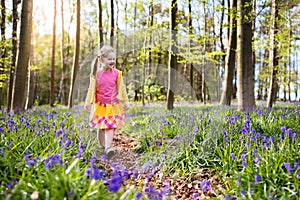 Child with bluebell flowers in spring forest