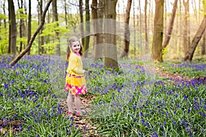 Child with bluebell flowers in spring forest