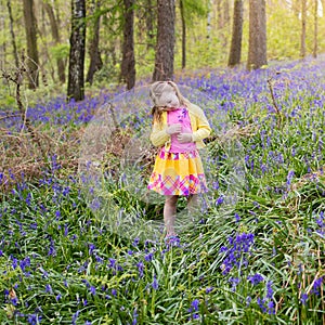 Child with bluebell flowers in spring forest