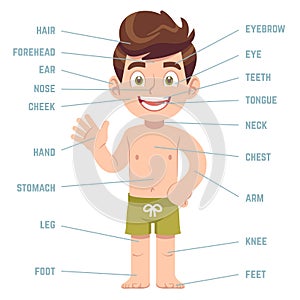 Child body parts. Boy with eye, nose and mouth, hair, ear and callouts with english words cartoon preschool education photo
