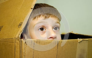 Child In a Box