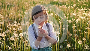 child boy 5 years old in a hat blows on a white dandelion ball on the field during sunset.