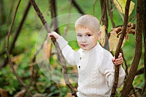 Child boy in a bright sweater with lianas in the forest